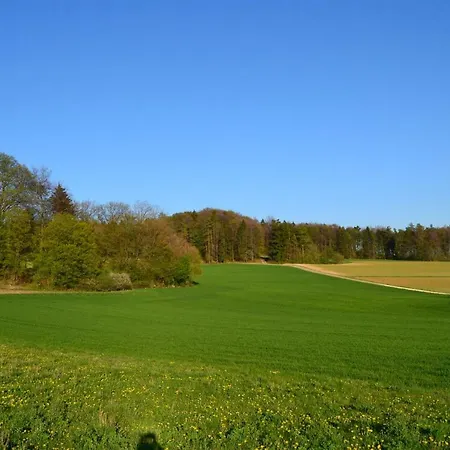 Frankenferien H1 Lägenhet *